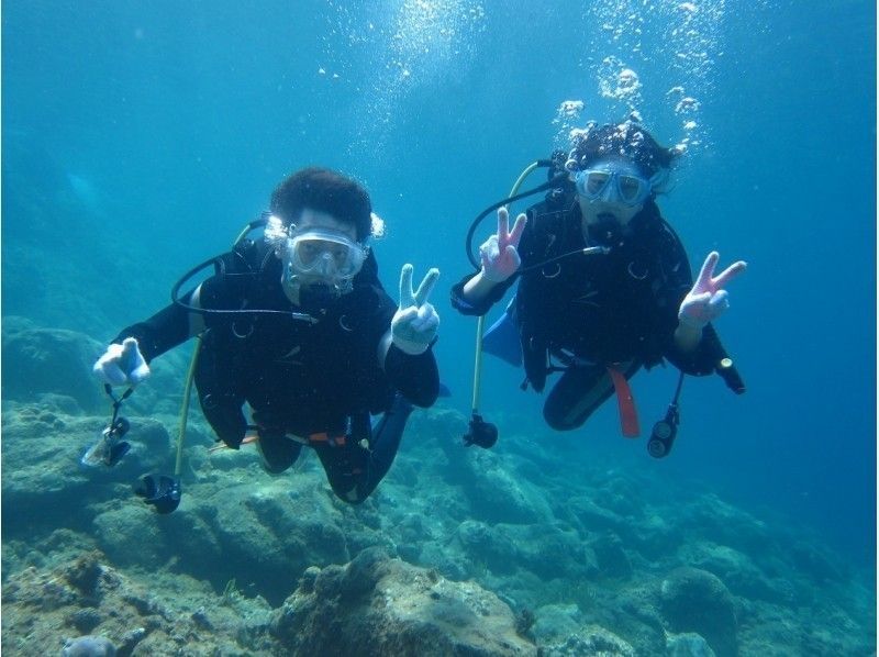 Yakushima aqua style แนะนำ