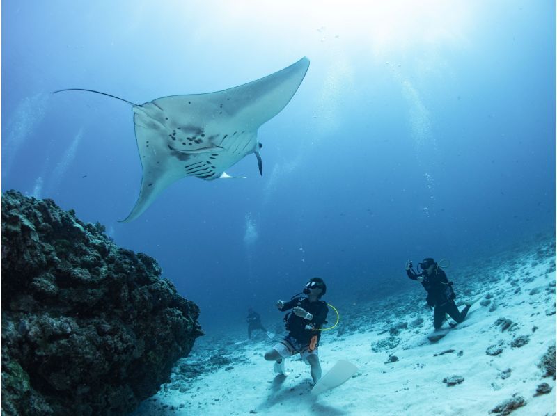 【沖縄・那覇発・慶良間開催】PADIアドバンス講習・中性浮力、ドリフトを重点講習！少人数制で確実にスキルアップ☆送迎無料の紹介画像