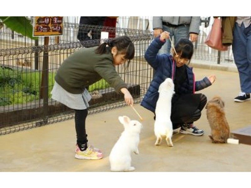 [เฮียวโกะ / โกเบ] Kobe Animal Kingdom! ตั๋วเข้าชมลดราคาสุดคุ้มの紹介画像