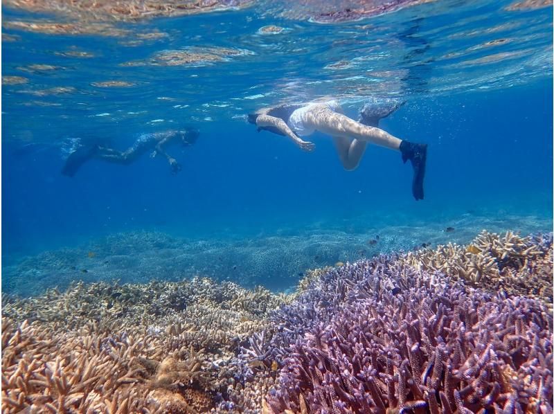 [Ishigaki Island/Half-day] Landing on the "Phantom Island" Hamajima & Boat Snorkeling ★ 360-degree spectacular views [Free photo data/equipment rental]の紹介画像