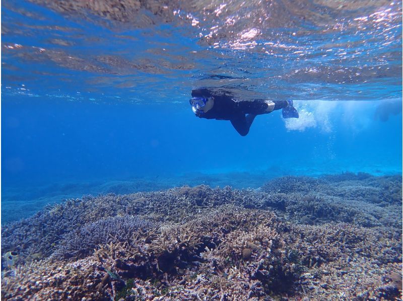 【石垣島/半日】「幻の島」浜島上陸＆ボートシュノーケリング★360度の絶景【写真データ/備品レンタル無料】【学割対象プラン】の紹介画像