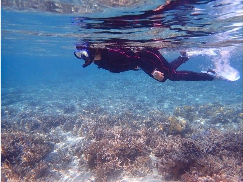 [Ishigaki Island/Half day] Landing on the "phantom island" Hamajima & boat snorkeling ★ 360 degree views ★ Free photo data ★ [Regional coupons available] Autumn sale underway!の紹介画像