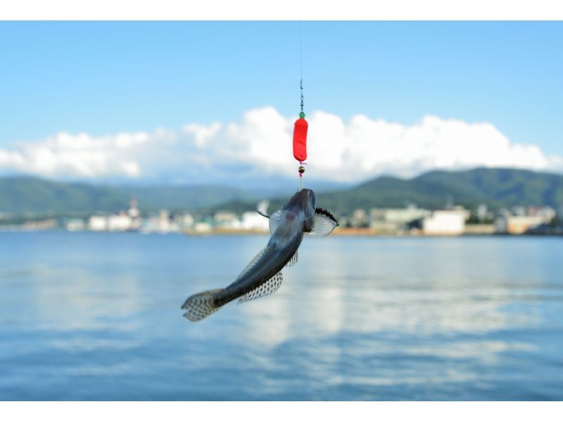 [Near Sapporo, Ishikari Bay New Port] Go by car, meet at the location and enjoy a casual pier fishing experienceの紹介画像