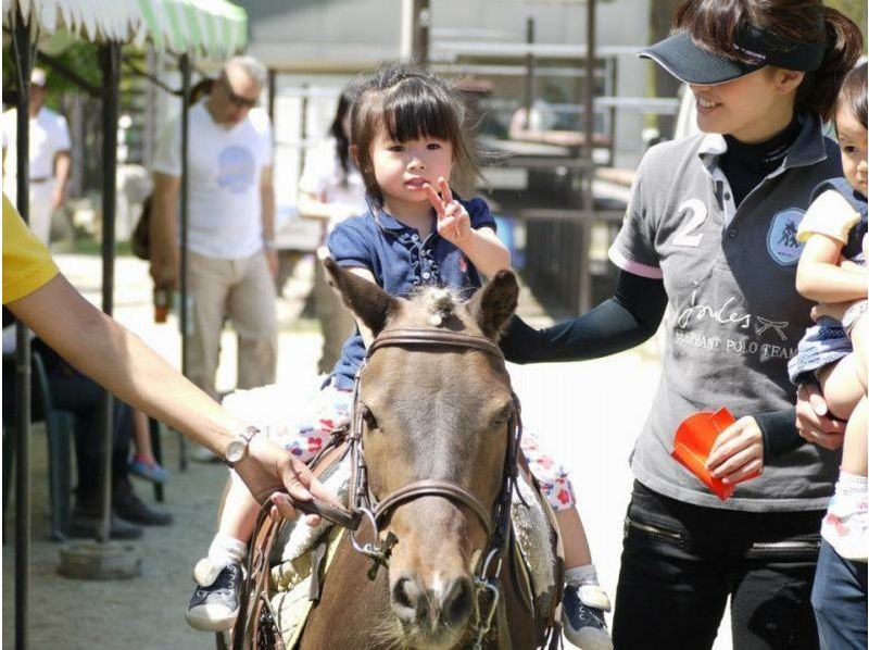 [Horse riding experience in the triple-Hokusei] first recommended here is better! Pull horse courseの紹介画像