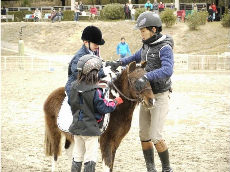 【三重·骑马徒步 Hokudo体验】第一个人在这里推荐！马课程の紹介画像