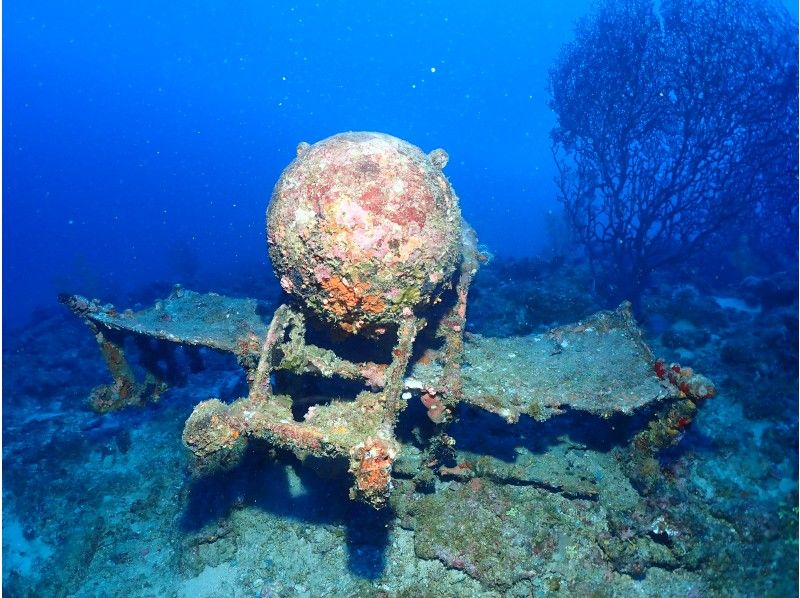 【　沖縄・那覇発　】USSエモンズ沈船・1名様からご案内★那覇市内送迎無料・古宇利島ダイビングの紹介画像