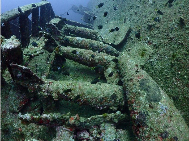 【　沖縄・那覇発　】USSエモンズ沈船・1名様からご案内★那覇市内送迎無料・古宇利島ダイビングの紹介画像