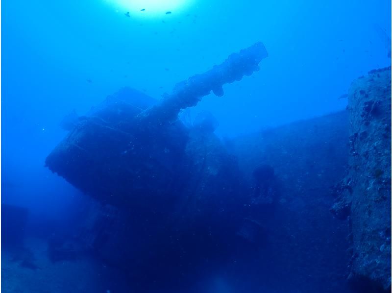 【　沖縄・那覇発　】USSエモンズ沈船・1名様からご案内★那覇市内送迎無料・古宇利島ダイビングの紹介画像