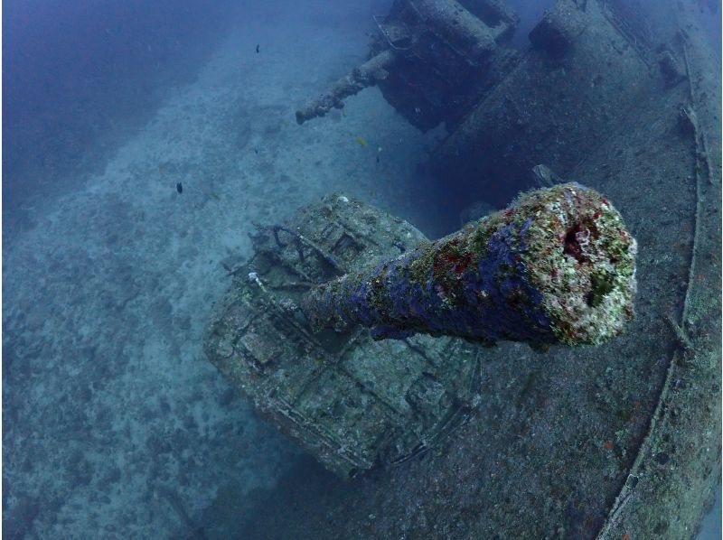 【　沖縄・那覇発　】USSエモンズ沈船・1名様からご案内★那覇市内送迎無料・古宇利島ダイビングの紹介画像