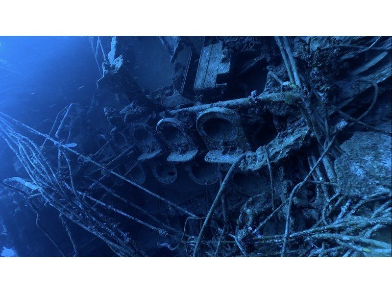 【　沖縄・那覇発　】USSエモンズ沈船・1名様からご案内★那覇市内送迎無料・古宇利島ダイビングの紹介画像