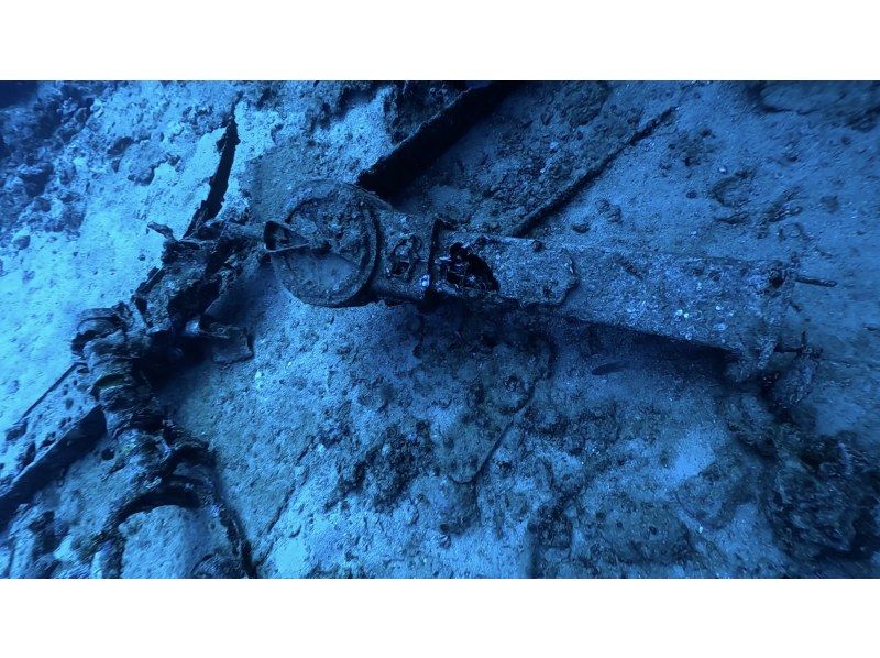 【　沖縄・那覇発　】USSエモンズ沈船・1名様からご案内★那覇市内送迎無料・古宇利島ダイビングの紹介画像