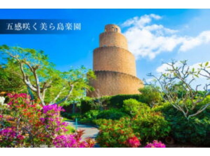 HIP-HOP BUS【나하/차탄발】오키나와 추라우미 수족관&열대 드림 센터와 만자모·비세 후쿠기 가로수·미하마 아메리칸 빌리지(B-1 코스)の紹介画像