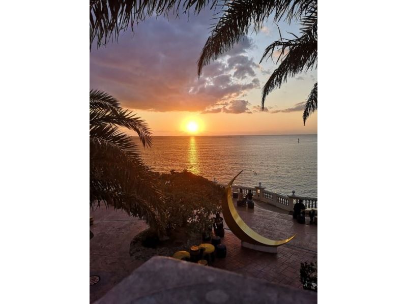 HIP-HOP BUS【나하/차탄발】오키나와 추라우미 수족관&열대 드림 센터와 만자모·비세 후쿠기 가로수·미하마 아메리칸 빌리지(B-1 코스)の紹介画像