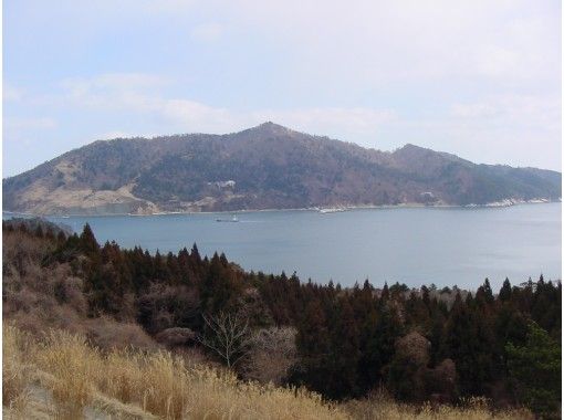 宫城县 石垣市 2天1晚的猫岛 Tashirojima 岛和神秘的岛屿 Kinkasan 之旅 Activityjapan 宫城县 石垣市 2天1晚的猫岛 Tashirojima 岛和神秘的岛屿 Kinkasan 之旅 Activityjapan