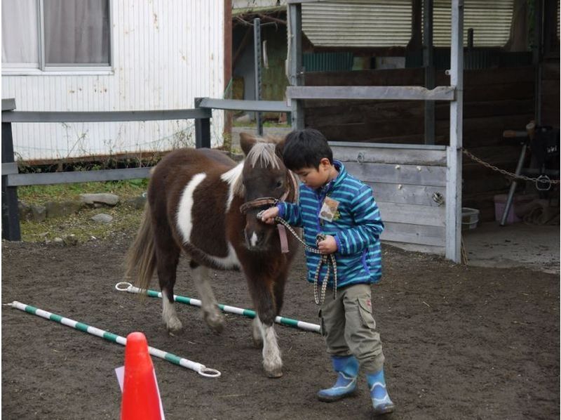 The first challenge of the children [riding experience with triple-Hokusei]! Pony school experience course (children up to 3 to 9 years of age)の紹介画像