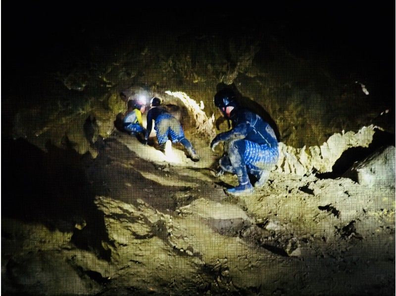 【滋賀・彦根】迷路の洞窟をグループごとに探検できる！知的立体迷路！滋賀ケイビングの紹介画像