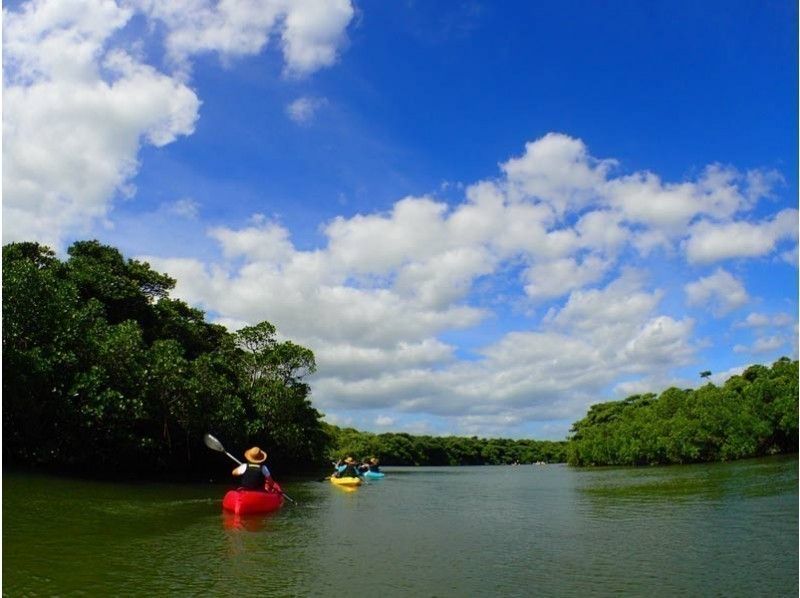 [Okinawa, Ishigaki Island] Reservations accepted up until 12:00 on the day! Small group ☆ Mangrove kayak jungle exploration ☆ 1.5 hour local meeting planの紹介画像