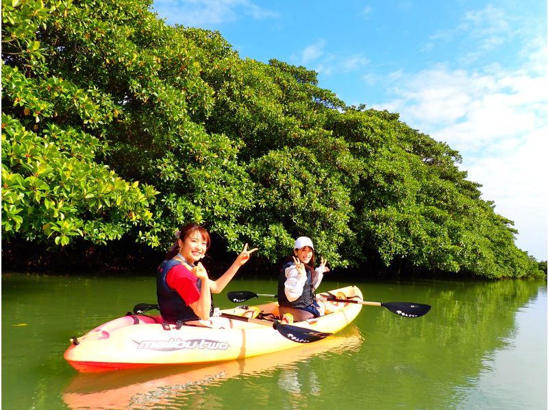 [Okinawa, Ishigaki Island] Reservations accepted up until 12:00 on the day! Small group ☆ Mangrove kayak jungle exploration ☆ 1.5 hour local meeting planの紹介画像