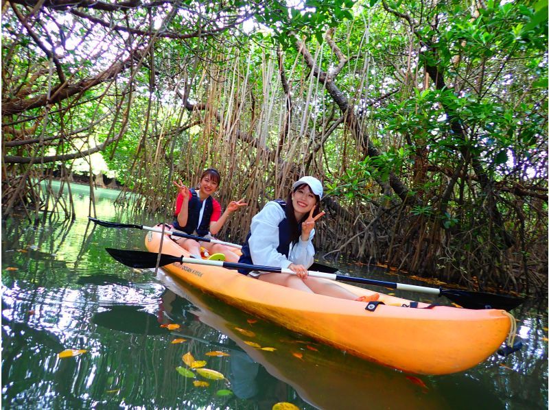 [Okinawa, Ishigaki Island] Reservations accepted up until 12:00 on the day! Small group ☆ Mangrove kayak jungle exploration ☆ 1.5 hour local meeting planの紹介画像