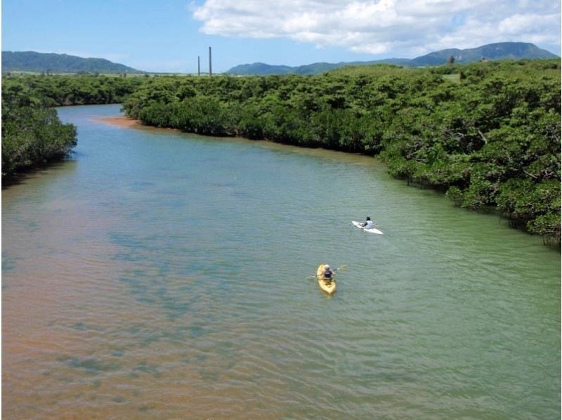 [Okinawa, Ishigaki Island] Reservations accepted up until 12:00 on the day! Small group ☆ Mangrove kayak jungle exploration ☆ 1.5 hour local meeting planの紹介画像