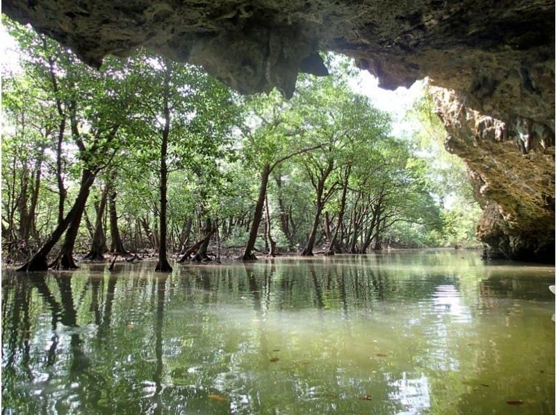 [Okinawa, Ishigaki Island] Reservations accepted up until 12:00 on the day! Small group ☆ Mangrove kayak jungle exploration ☆ 1.5 hour local meeting planの紹介画像