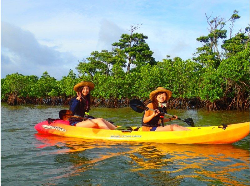 [Okinawa, Ishigaki Island] Reservations accepted up until 12:00 on the day! Small group ☆ Mangrove kayak jungle exploration ☆ 1.5 hour local meeting planの紹介画像