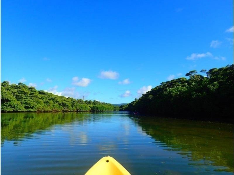 [Okinawa, Ishigaki Island] Reservations accepted up until 12:00 on the day! Small group ☆ Mangrove kayak jungle exploration ☆ 1.5 hour local meeting planの紹介画像