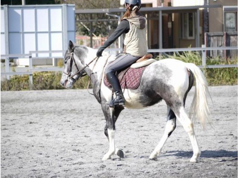 【三重·Hokudaki 骑马徒步体验】骑马徒步课堂·全脑入门课程の紹介画像