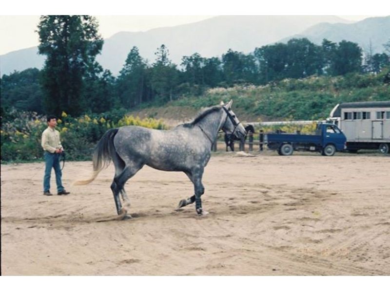 【三重・北勢で乗馬体験】乗馬教室・本格入門コースの紹介画像