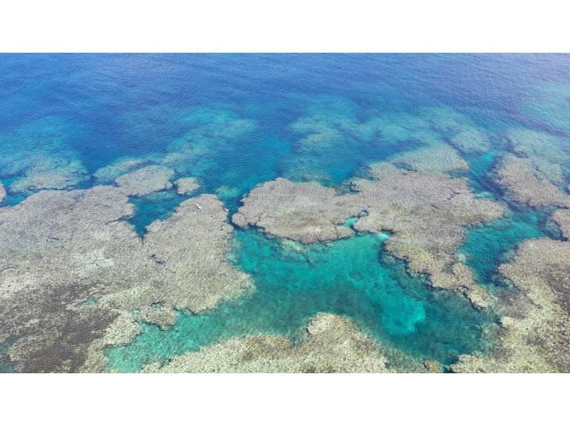 【沖縄・石垣島】サンゴの楽園 シーカヤック＆シュノーケリングのデイツアー ビーチでランチ付き！の紹介画像