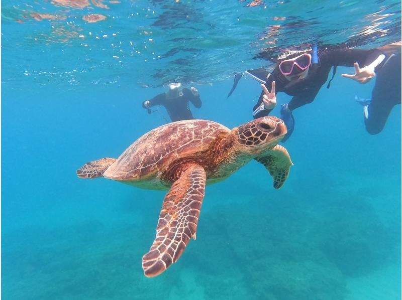 幾歲開始浮潛？詳細介紹適合不同年齡層兒童的體驗之旅！