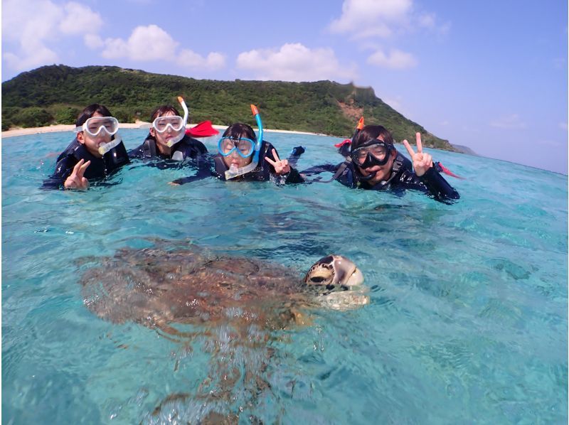 [Miyakojima] 100% sea turtle encounter rate! Photo contest gold medal winner★Full refund guarantee if you are not satisfied! You are sure to have great memories with all the data presents!の紹介画像