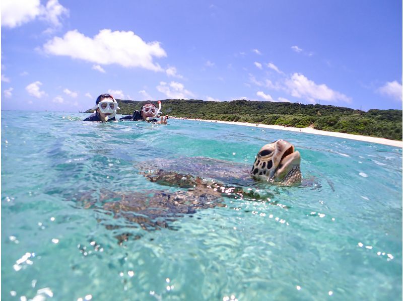 [Miyakojima] Snorkeling with turtles! Photo data for fee