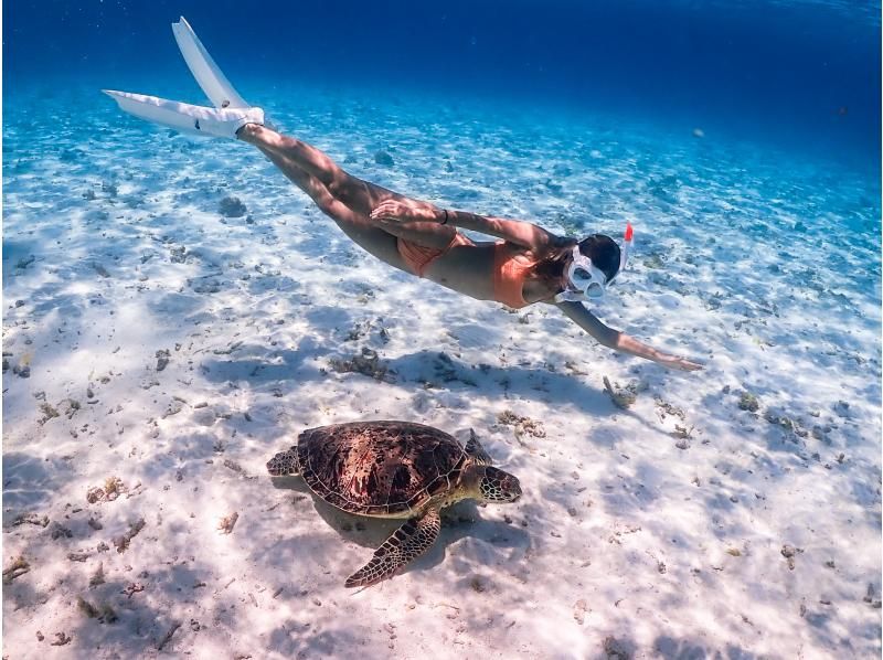 [Miyakojima] 100% sea turtle encounter rate! Photo contest gold medal winner★Full refund guarantee if you are not satisfied! You are sure to have great memories with all the data presents!の紹介画像