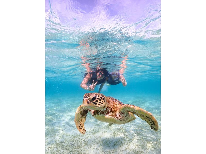 [Miyakojima] 100% sea turtle encounter rate! Photo contest gold medal winner★Full refund guarantee if you are not satisfied! You are sure to have great memories with all the data presents!の紹介画像