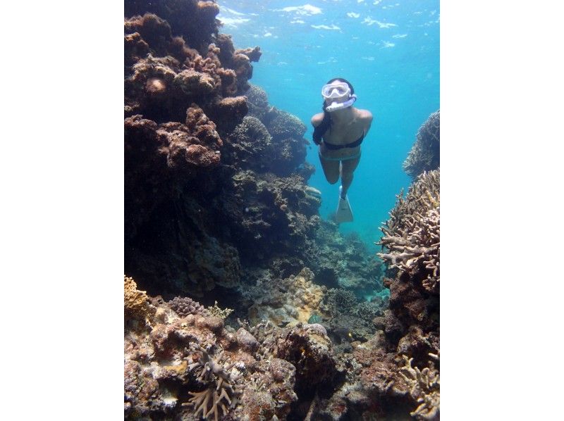 [經驗深潛]帕納里島之旅（1天課程）の紹介画像