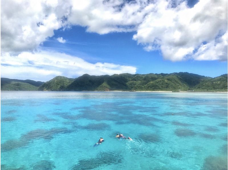 [Iriomote Island/Seasonal only] Spring sale underway ★ Unexplored region Okuiriomote AM half-day small group snorkeling tour (equipped with cabin, shower, and toilet)の紹介画像