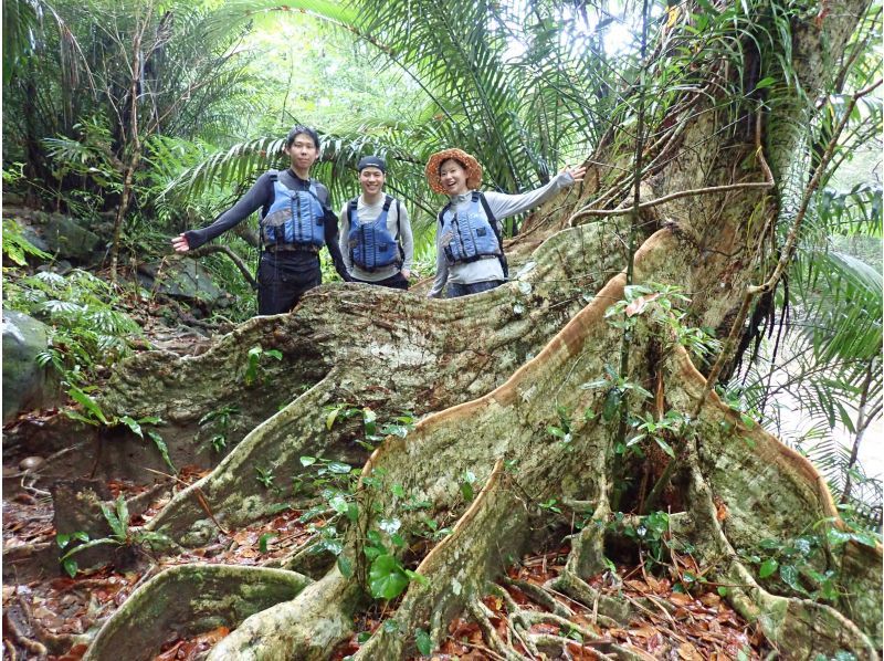 【沖縄・西表島】セール実施中《お得な午後割！》PM出発でピナイサーラの滝壺　カヌー&トレッキング午後ツアー！・当日現金精算プランの紹介画像