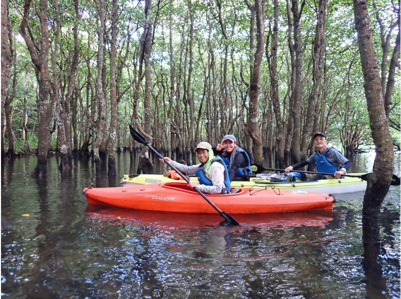 春セール！いちおしアクティビティ【沖縄・西表島】ピナイサーラの滝壺カヌー&トレッキングショートツアー！3/8から4/5限定割引の紹介画像