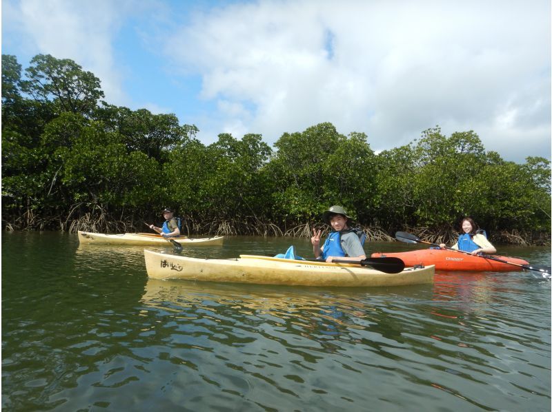 春セール！いちおしアクティビティ【沖縄・西表島】ピナイサーラの滝壺カヌー&トレッキングショートツアー！3/8から4/5限定割引の紹介画像