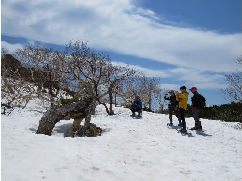 【北海道・知床】春限定！羅臼湖スノートレッキングの紹介画像