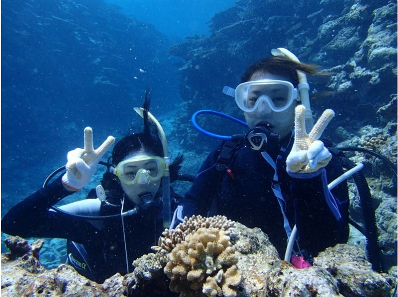 [Okinawa ・ Miyakojima 】 Experience in Yaesu Yose Diving(1 dive: with snorkel)の紹介画像