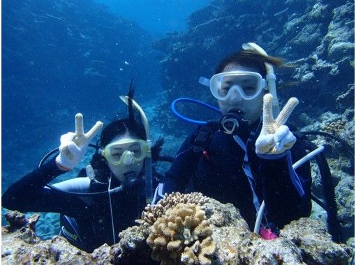 沖縄 宮古島 八重干瀬で体験ダイビング 1ダイブ シュノーケル付 アクティビティジャパン 沖縄 宮古島 八重干瀬で体験ダイビング 1ダイブ シュノーケル付 アクティビティジャパン