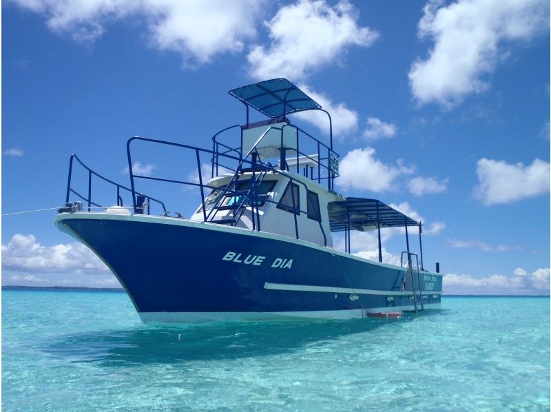 MarineShopヤビジの割引プラン
