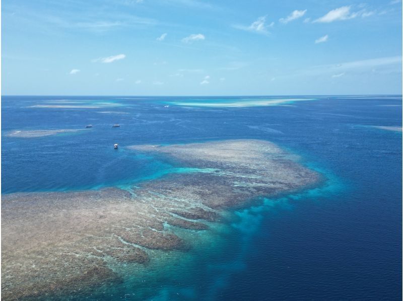 【沖縄・宮古島】ボートファンダイビング（2Dive）の紹介画像