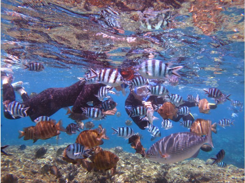 Blue Cave "Beach Snorkeling Tour" Underwater photos will be given as a gift on the spot ☆ [All-inclusive plan including shower and parking]の紹介画像