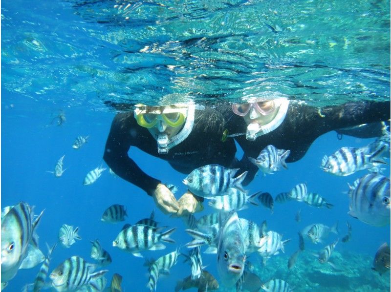 [Okinawa Onna Village] Popular Blue Grotto Beach Snorkel! You can start from the shallow water where you can get your feet, so even beginners can rest assured! (underwater photo present)の紹介画像