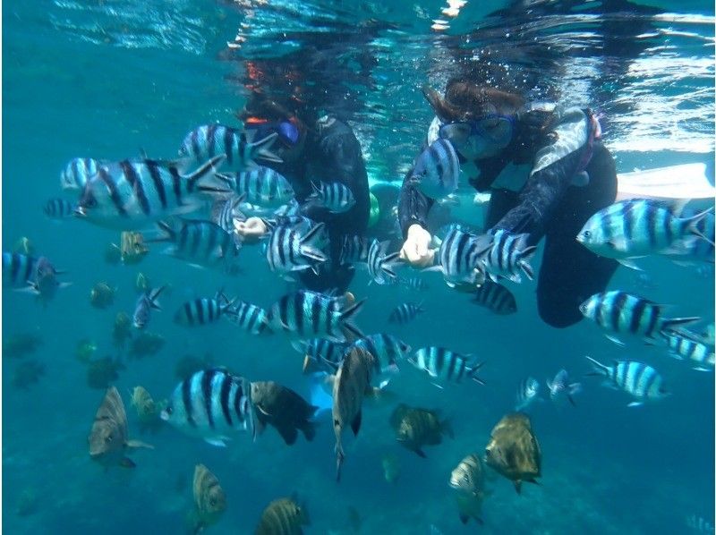Blue Cave "Beach Snorkeling Tour" Underwater photos will be given as a gift on the spot ☆ [All-inclusive plan including shower and parking]の紹介画像