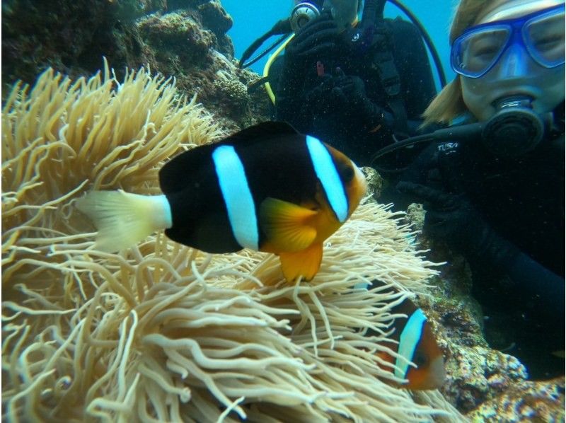 Blue Cave "Beach Snorkeling Tour" Underwater photos will be given as a gift on the spot ☆ [All-inclusive plan including shower and parking]の紹介画像