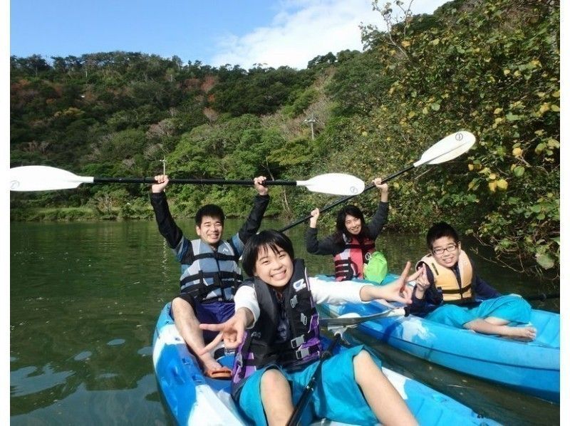 【マングローブカヤック体験ツアー】シーカヤックとマングローブが両方楽しめる人気のツアーの紹介画像